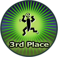 Competition third place award winner