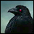 Mystery Case Files: Ravenhearst Sale!