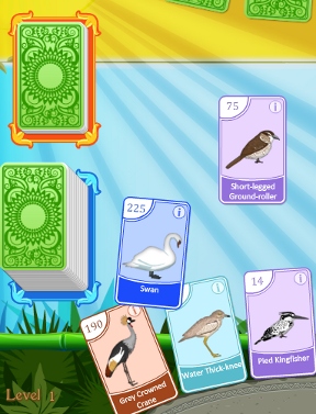 Bird Pax screenshot 2
