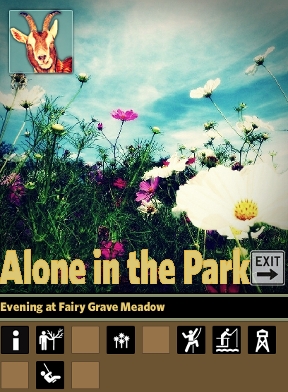 Alone in the Park