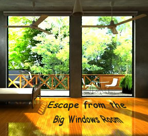 Escape from the Big Windows Room