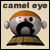 Camel Eye