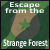 Escape from the Strange Forest