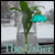 the Usher