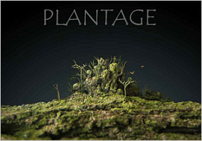 Plantage