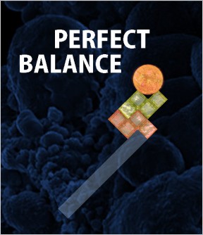 counterbalance vs perfect balance